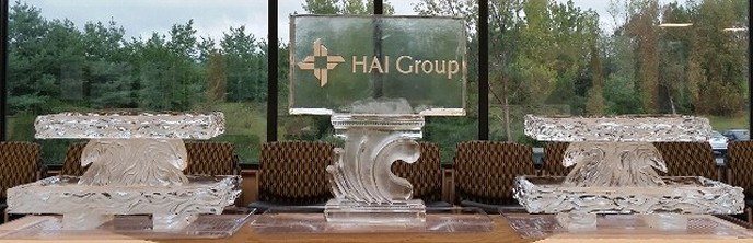 Two Tier Tray, wavy, on each side of HAI Group  logo on wave base