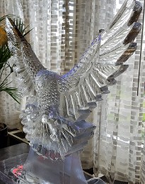 Ice Matters - Falcon