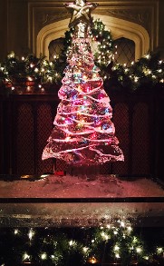 Christmas Tree with Colored Lights