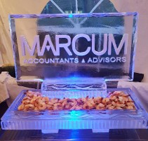 Snowfilled logo on back of 40 inch tray