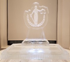 40 Inch Tray with Snowfilled Logo on Back