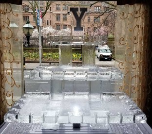 Champagne Glass Display with Snowfilled Topper