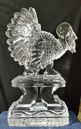 1.  Ice Matters Turkey - Side Facing