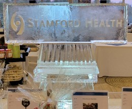 Snowfilled Stamford Health Logo, long narrow on double v-lined base