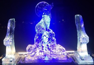 Snowfilled Freepoint Logo on base with Wolf Moon on top - shown with single track shot luge on each side