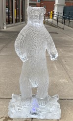 Ice Matters Polar Bear by day