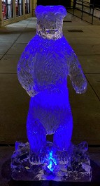 Ice Matters Polar Bear by night