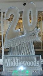 Carved 20 with Snowfilled Plaque in front