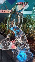 Ice Matters Big and Little Penguin