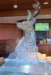 Ice Matters - buck head on back of 40 inch tray