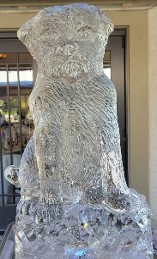 ice matters - carved border terrier dog