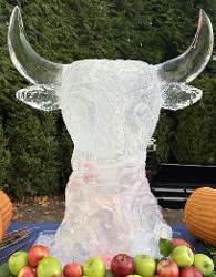 Ice Matters Bull Head