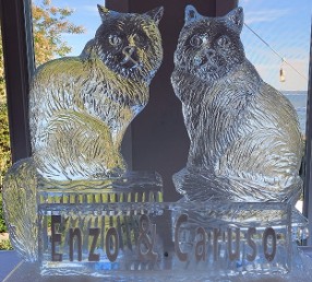 ice matters - carved siberian cats with snowfilled plaque in front