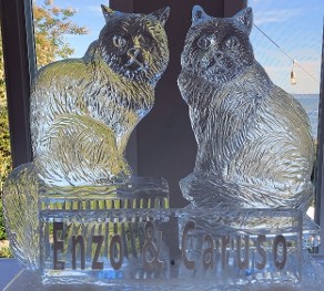 ice matters - carved siberian cats with snowfilled plaque in front