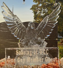 Ice Matters - Eagle with Wings out - Large Snowfilled Plaque in front