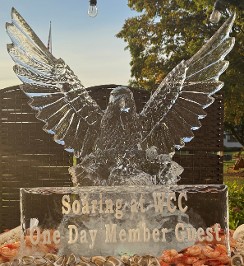 Ice Matters - Eagle with Wings out - Large Snowfilled Plaque in front