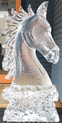 Ice Matters - Horse Head