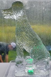 ice matters - irish wolfhound