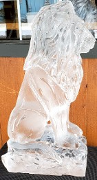 Ice Matters - Lion Sitting