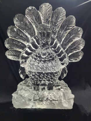 2.  Ice Matters - Turkey - Front Facing