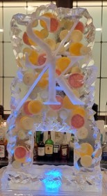 ice matters double pour drink luge with citrus fruit frozen into block - custom snowfiled initials - rocky
