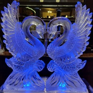 ice matters kissing swans vertical