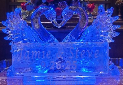 ice matters kissing swans with large plaque in front with snowfilled names and date - horizontal