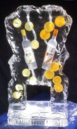 Double Pour Drink Luge with Bottles and fruit frozen into block