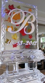 Snowfilled Initial and Date with silk leaves frozen into block