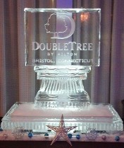 Snowfilled DoubleTree Logo on back of 40 inch tray